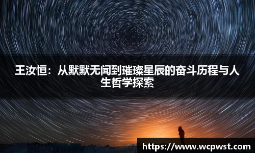 王汝恒：从默默无闻到璀璨星辰的奋斗历程与人生哲学探索