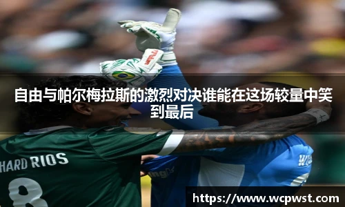 自由与帕尔梅拉斯的激烈对决谁能在这场较量中笑到最后